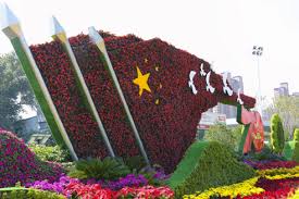 武冈绿化苗木花卉市场在哪里
